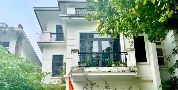 Hình ảnh 1