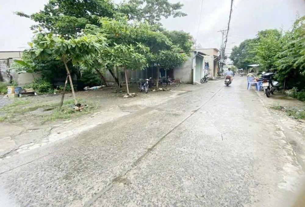 Hình ảnh 2