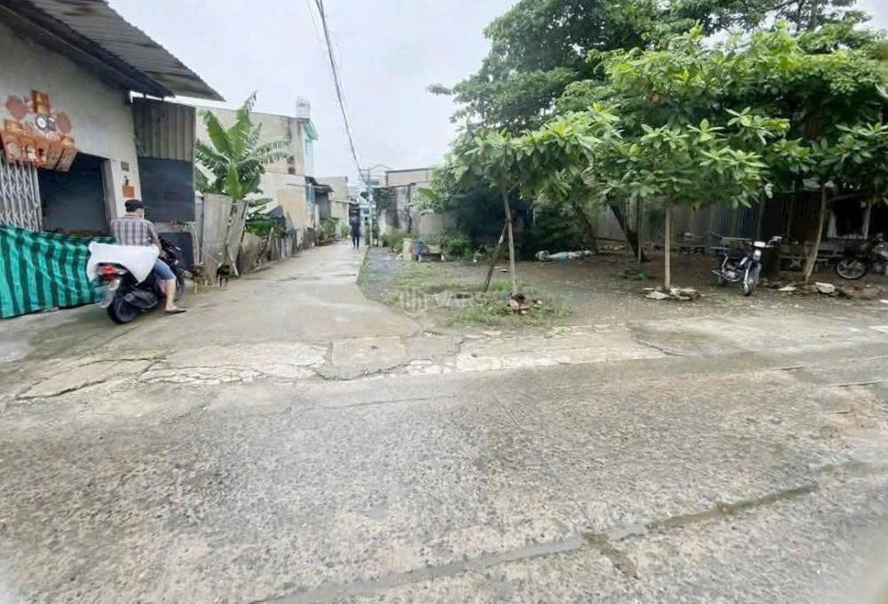 Hình ảnh 3