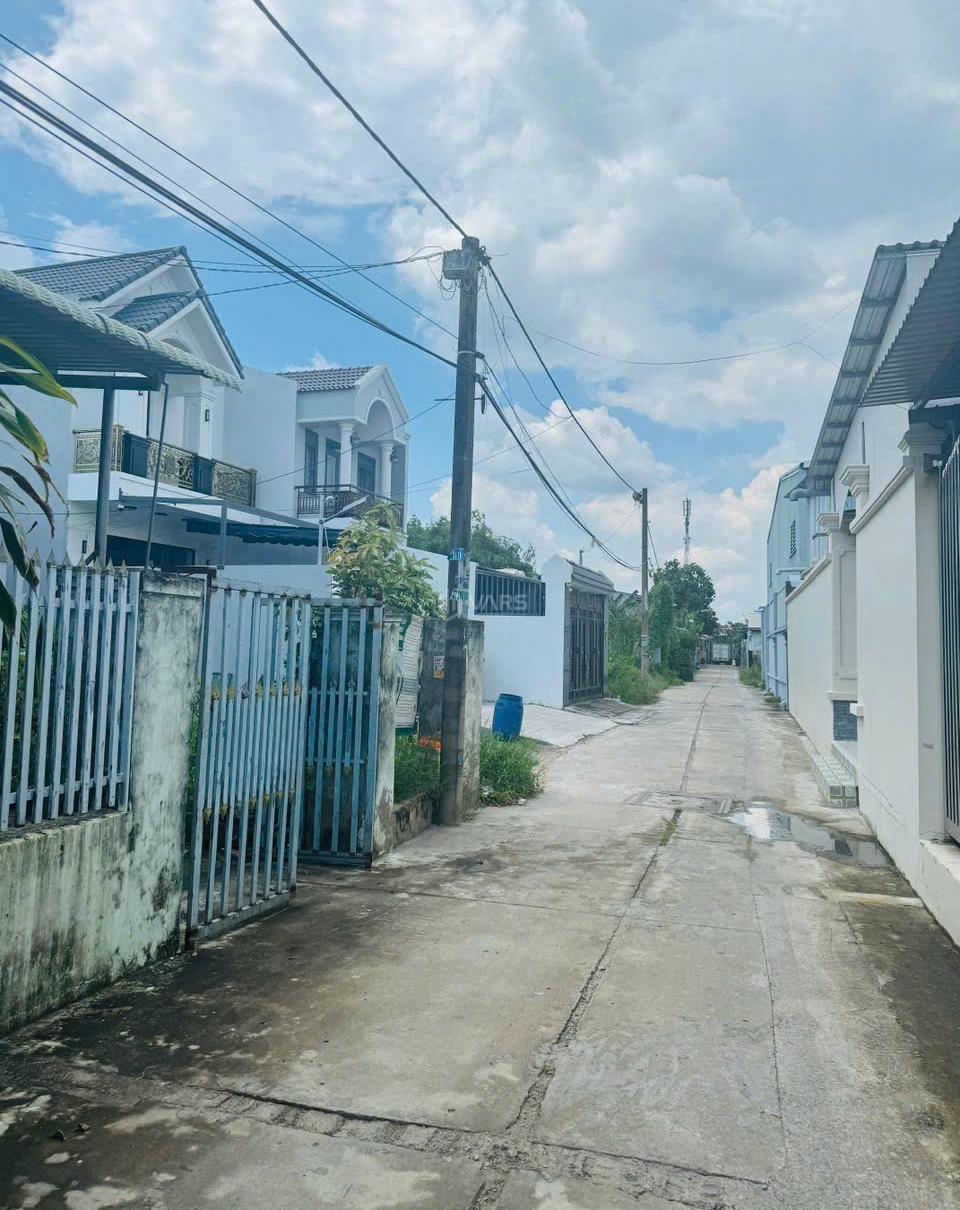 Hình ảnh 2