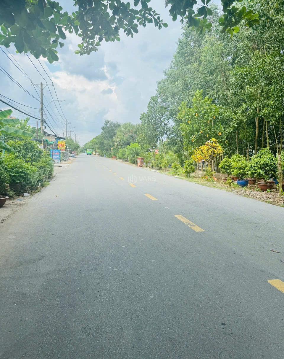 Hình ảnh 1