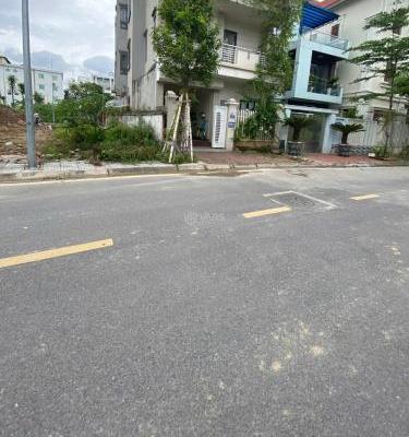 Hình ảnh 1