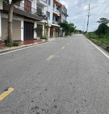 Hình ảnh 2
