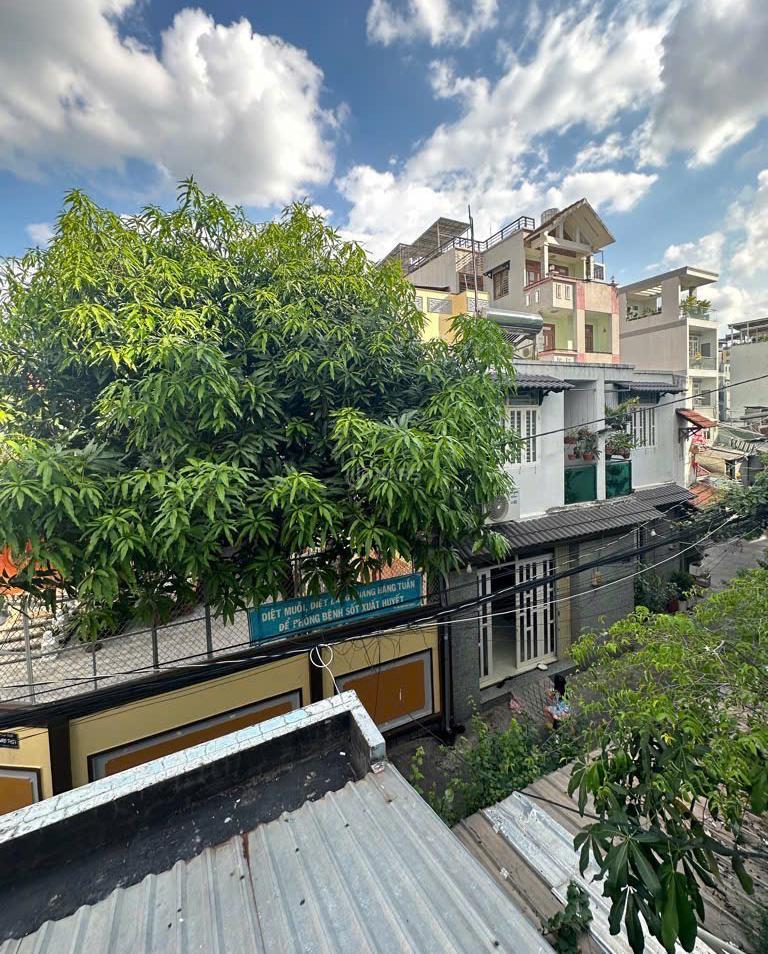 Hình ảnh 6