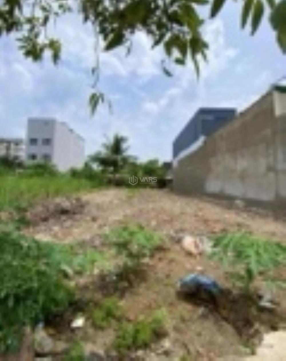 Hình ảnh 1