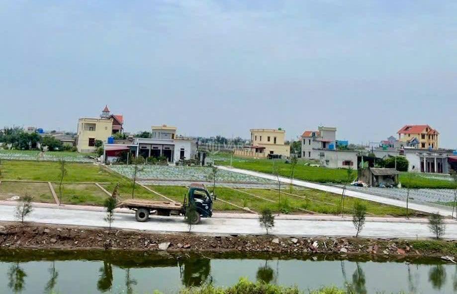 Hình ảnh 2