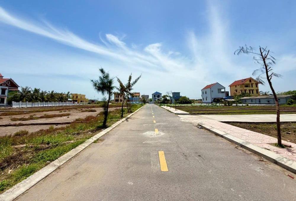 Hình ảnh 4