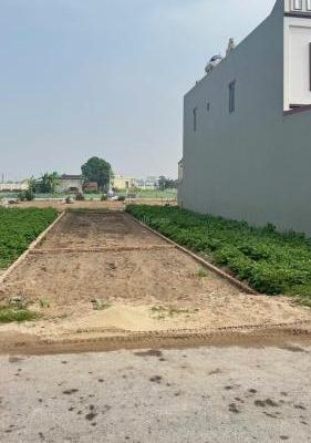 Bán Đất nền riêng lẻ 147m²