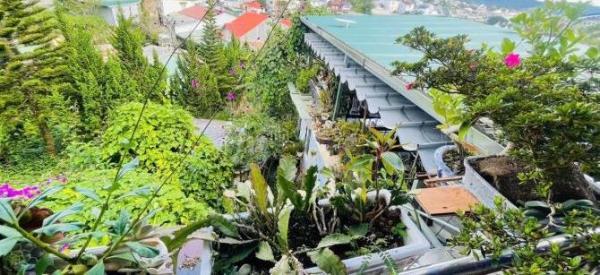 Cần bán Nhà mặt phố 300m²