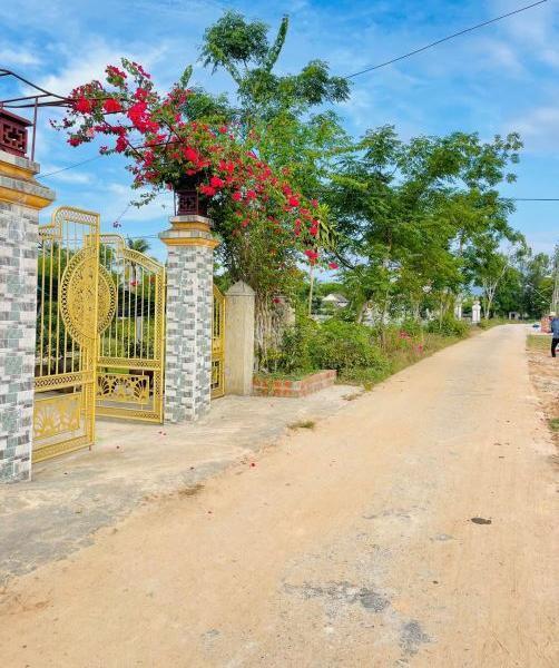 CÒN VÀI LÔ ĐẤT F0 GẦN 🔥 BIỂN GIÁ RẺ ĐẦU TƯ