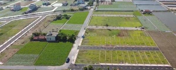 Hàng hiếm đầu tư, đất ☘ mặt biển Quất Lâm kinh doanh đường 24m 100m2 MT5m giá 3 tỷ