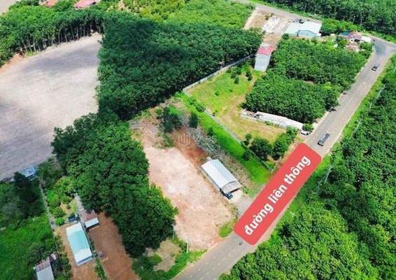 Chủ cần bán Đất nền riêng lẻ 370m²