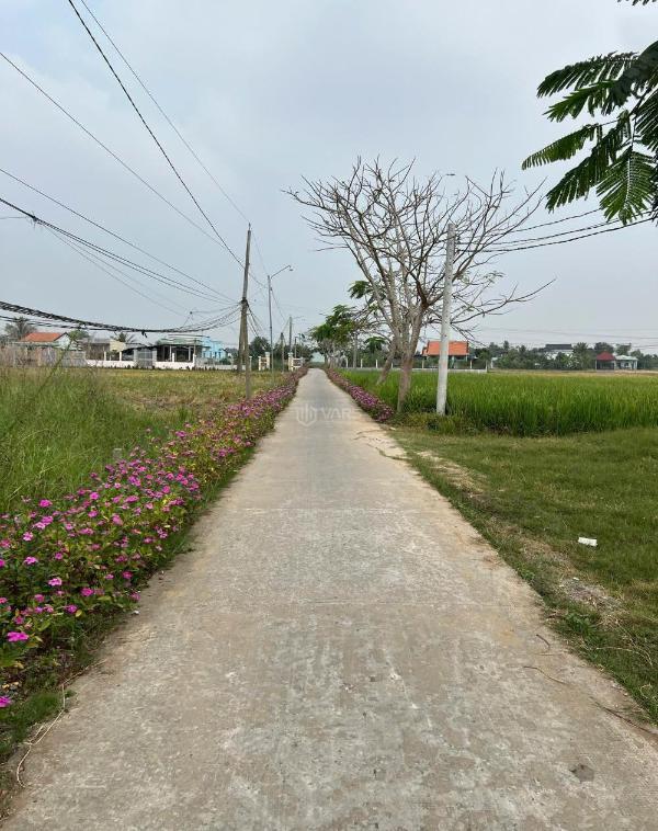 D9at61 thổ mt xe hơi 160m2 xã tân lân bán lỗ 🏡 vốn 720tr
