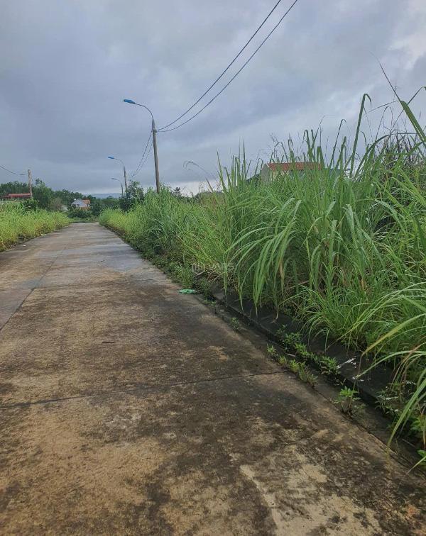 Dự 🏘️ án kđt đoàn kết đặc khu vân đồn diện tích 240m2 giáp sân bay vân đồn chỉ 5p đ