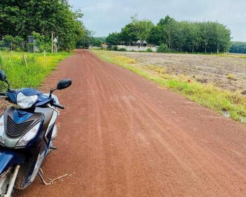 1000m2 mặt tiền đường cách tuyến 🔥 3 chỉ 200m Tân Tiến đồng phú chỉ 250 triệu
