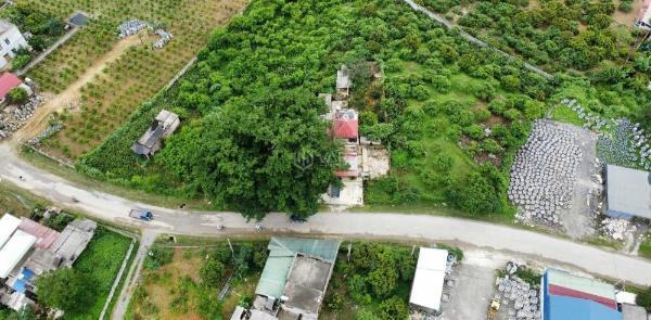 Bán Đất nền riêng lẻ 3750m²