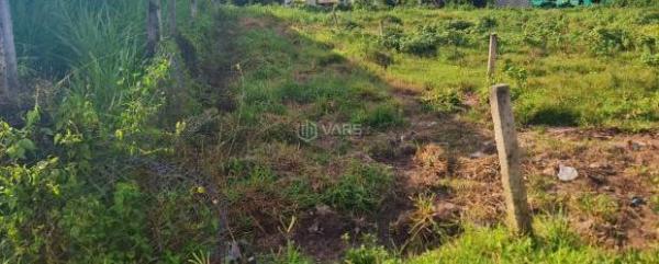 Bán đất giá rẻ 5x29 m, đường oto, xã Hòa Khánh Đông, Đức Hòa, Long 🏘️ An giá 900 triệu.