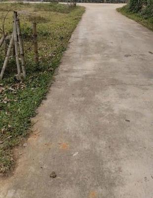 Chủ cần bán Đất nền riêng lẻ 208m²