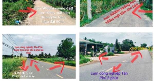 ĐẤT VỊ TRÍ ĐẸP – GIÁ 🏚️ TỐT - Chính Chủ Cần Bán Đất Tại Chợ Chiều, Tân Phú, Tân Châu, Tây