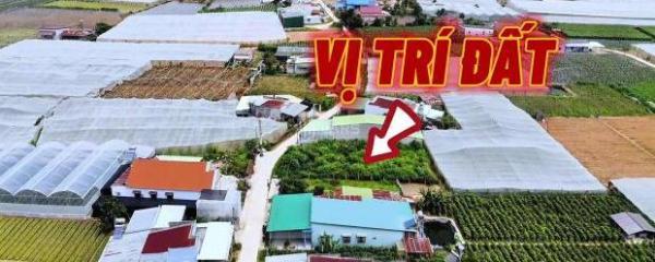 274m2 đất sổ hồng đường ô 🏠 tô tại D'ran khu Villa giáp thông