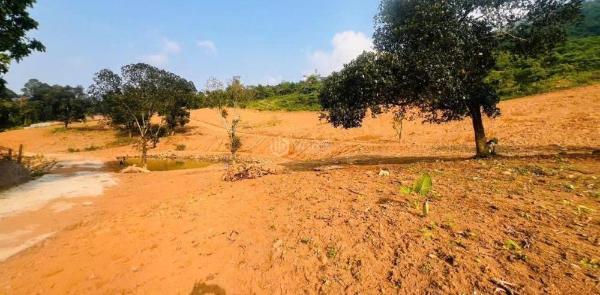 Chủ cần bán Đất nền Dự án 44000m²