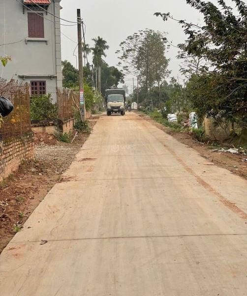 Đường to thông 👍 thoáng 246,1m full thổ cư chia làm 3 lô ở CD Quán Trạch - Xã Văn Giang mới