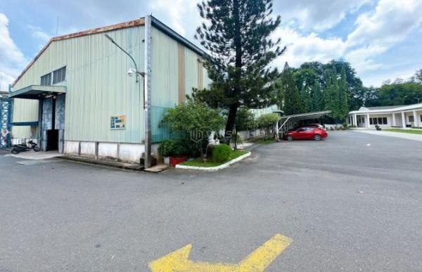 Cho thuê Nhà xưởng, nhà kho 12000m²