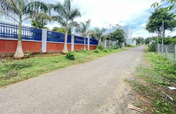 BÁN ĐẤT HẺM CHÍNH ĐỒI THÔNG – VỊ TRÍ ĐẸP, ĐƯỜNG RỘNG thích hợp 🏬 làm homstay