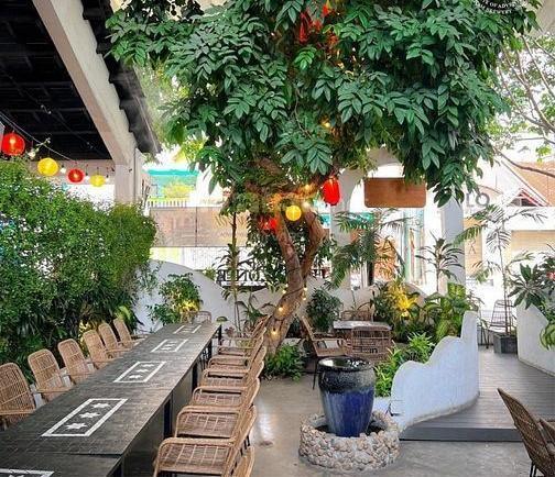 Biệt Thự 500m2 Mặt Tiền Hai Bà Trưng Quận 👍 1