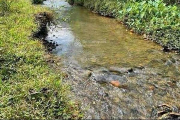 Bán Đất nền riêng lẻ 220m²