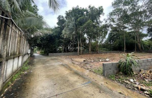 Chủ cần bán Đất nền riêng lẻ 500m²