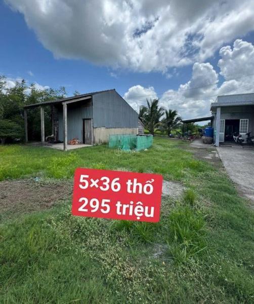 5×36 thổ 180m2 🌊 giá 295 triệu quê mỹ thạnh_Tân trụ_Long An Giá rẻ nhất khu