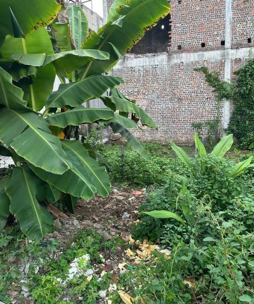 ĐẤT RẺ DƯƠNG QUANG KHÔNG CÓ LÔ THỨ 🏢 2 TẠI HÀ NỘI GIẢM ĐÃ GIẢM GIÁ CHÀO 500 TRIỆU