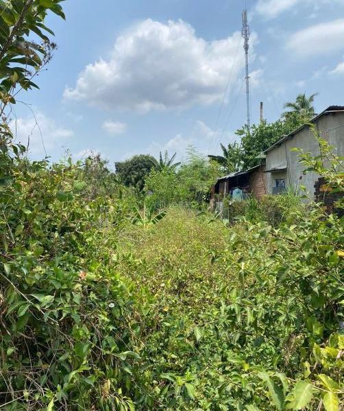 Cần bán Đất nền riêng lẻ 363m²