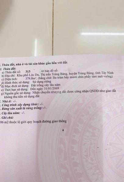 BÁN DÃY 10P TRỌ ĐANG KINH 🏠 DOANH TỐT,TRẢNG BÀNG, TÂY NINH, GIÁ 789 TRIỆU, SHR
