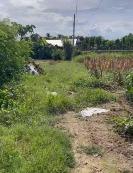 Vườn Nghĩa Hà 450m2(15x30) đường oto sạch đẹp giá 🆘 Rẻ.