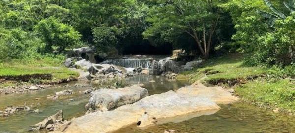 Bán Đất nền riêng lẻ 2100m²