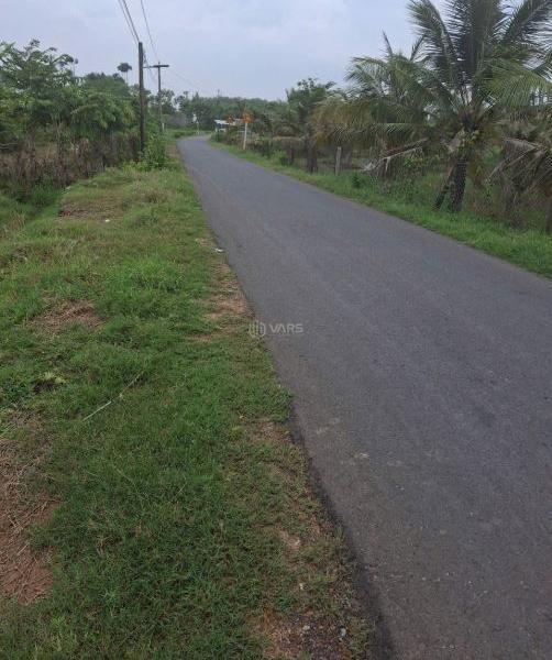 Cần bán Đất nền riêng lẻ 3300m²