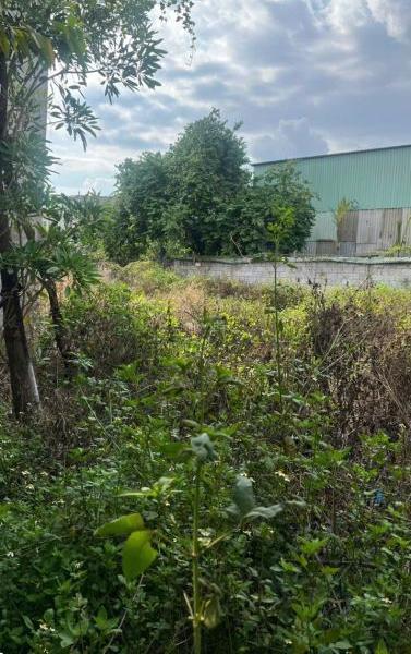 Bán Đất nền riêng lẻ 758m²