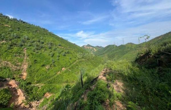 Cần bán Khác 42000m²