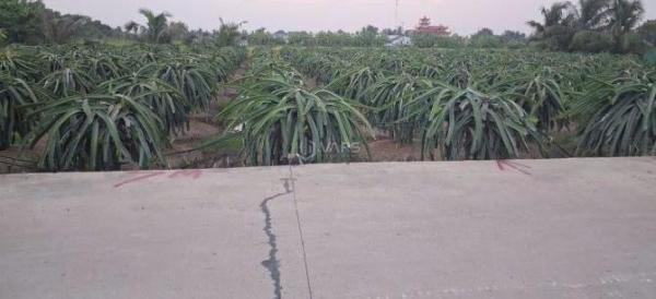 Cần bán Đất nền riêng lẻ 150m²