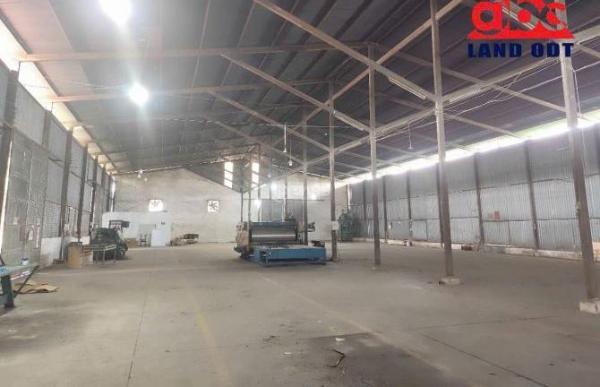 Cho thuê Nhà xưởng, nhà kho 5000m²