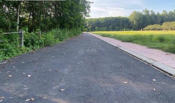 💥Lô đất 100m² – Pháp lý rõ ràng 💥 – Giá tốt ngay xã Bàu Cạn, Long Thành