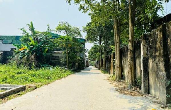 Cần bán Đất nền riêng lẻ 74m²