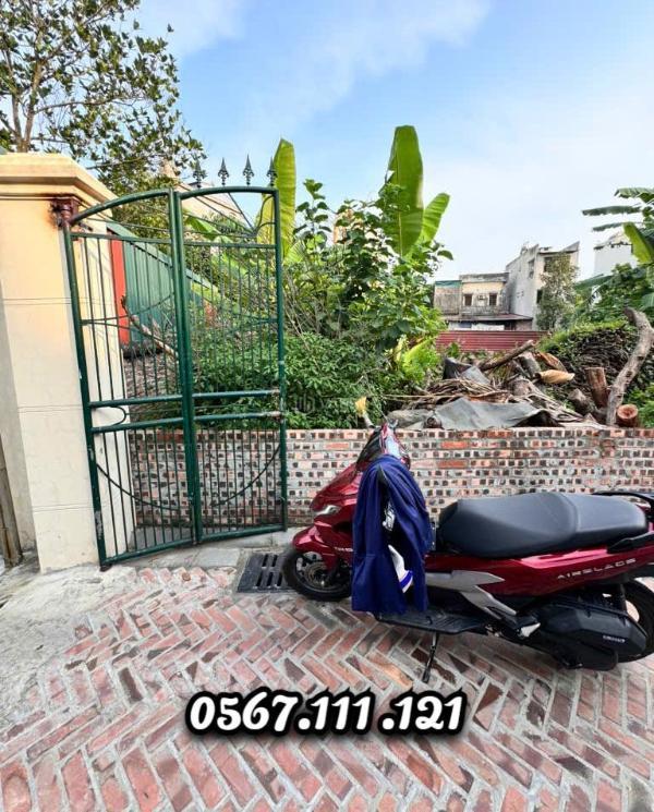 🎯 🎯đất đẹp cổ loa 52m2 🚘 ô tô vào đất 🔥 - 5 phút qua vin cổ loa