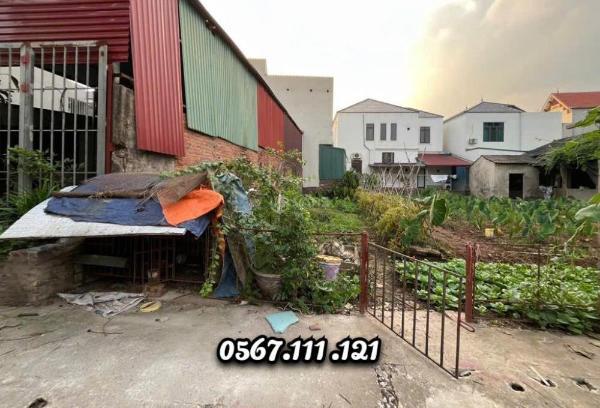 Bán Đất nền riêng lẻ 81m²