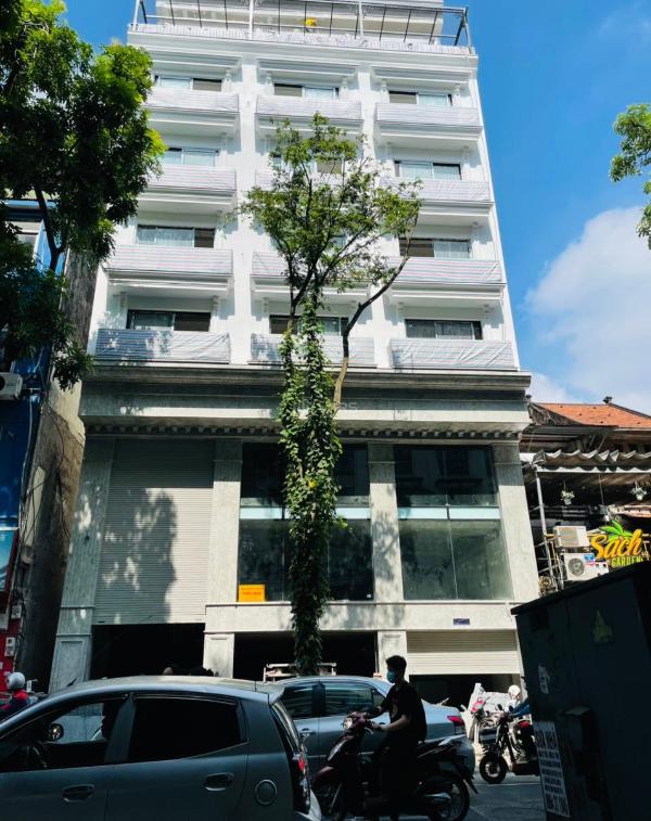 Bán Nhà trong hẻm 250m²