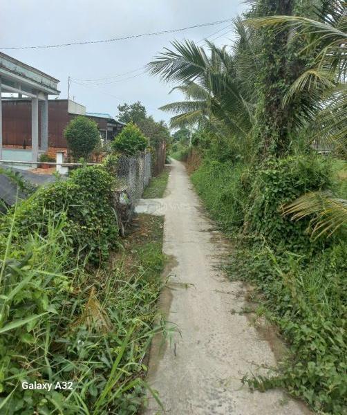 180tr – b.á.n gấp đất thổ vườn gần HL9, Gò Công Tây 🏡 , Tiền Giang.