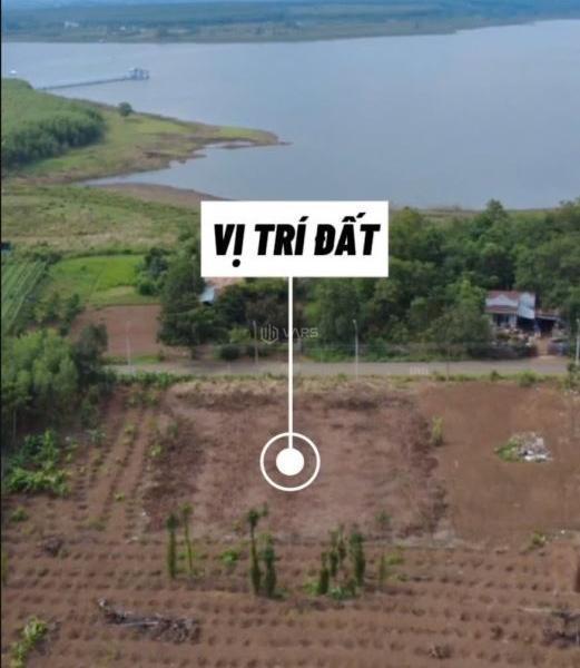 Lô đất đẹp vuông vức hiếm hoi Bàu Cạn Long Thành: 1.209m2 phủ hồng toàn bộ, 🏤 cần bán gấp