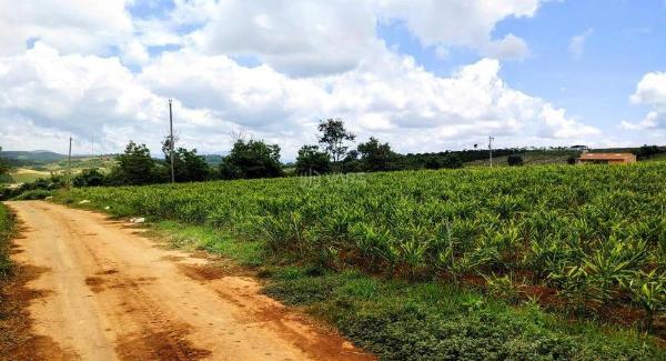 Cần bán Trang trại, nhà vườn 50000m²